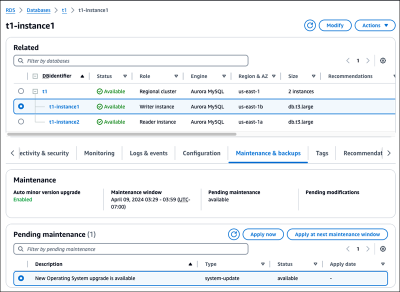 Upgrade der Betriebssystemdistribution der Writer-Instance