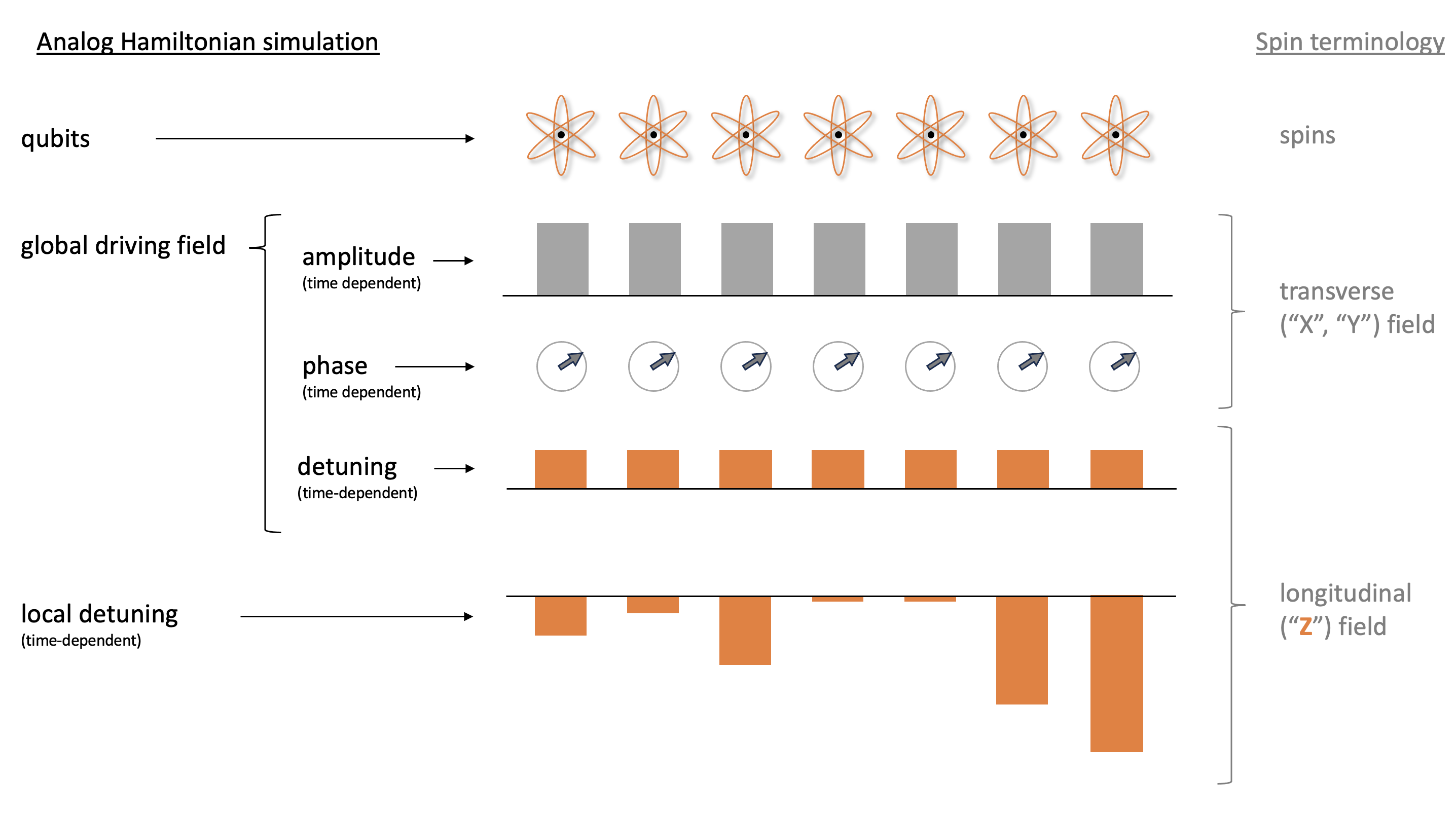 Analoge Hamilton-Simulation in der Spin-Terminologie, bei der es Qubits, ein zeitabhängiges globales Einflussfeld und zeitabhängige lokale Verstimmung gibt.