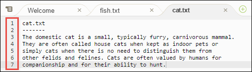 Gutter in der IDE AWS Cloud9