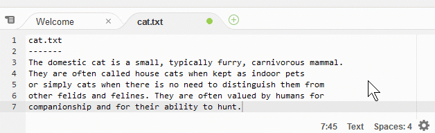 Änderung der Dateitypeinstellungen in der AWS Cloud9 IDE-Statusleiste