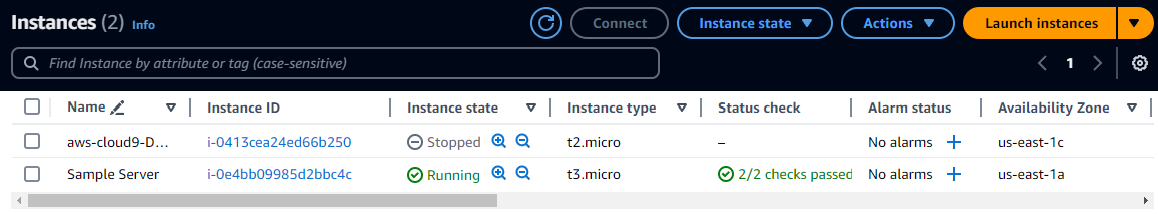 Instance-Tabelle mit zwei Instances in der Amazon EC2 EC2-Konsole.