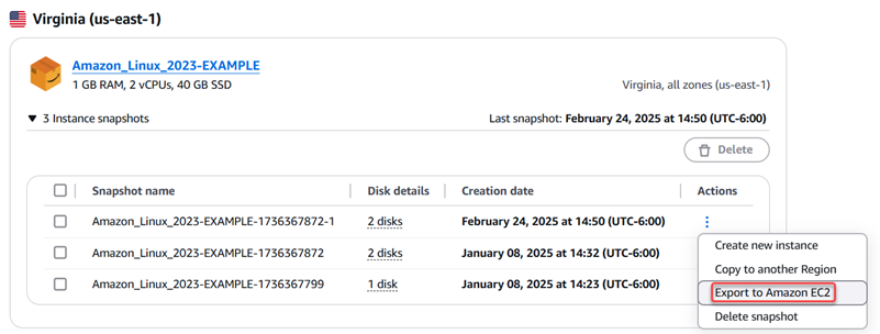 Exportieren Sie den Snapshot in der Lightsail-Konsole.
