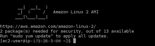 SSH-Verbindung mit einer Lightsail-Instanz hergestellt