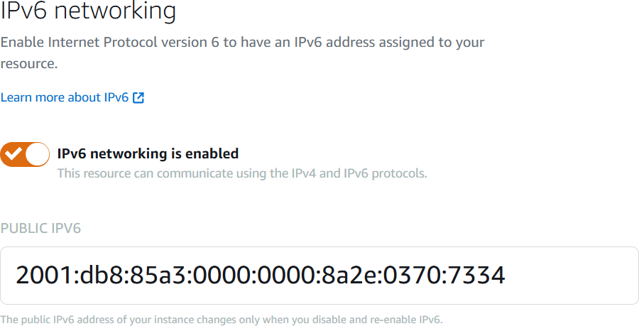IPv6 Instanzadresse auf der Registerkarte Netzwerk der Instanzverwaltungsseite.