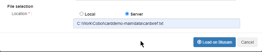 File selection interface with server option and file path input field.