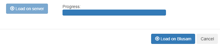 Progress bar fully loaded, with "Load on Blusam" button enabled.