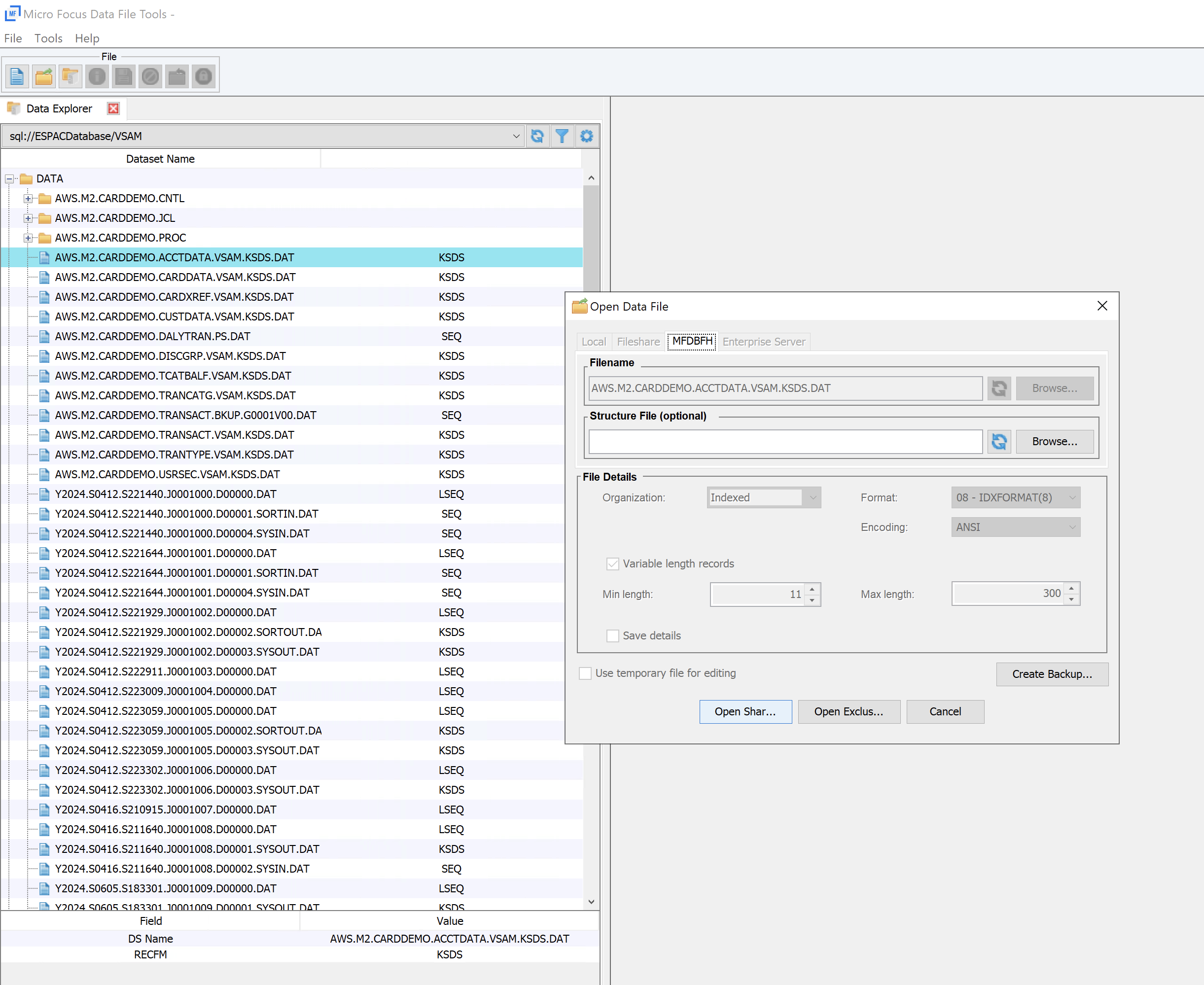 Das Micro Focus Data File Tools-Fenster mit dem Bereich Data Explorer. Bereich „Datendatei öffnen“, um Datensätze zu öffnen.
