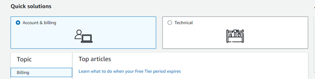 Die Support-Konsole mit der Option Konto und Abrechnung.