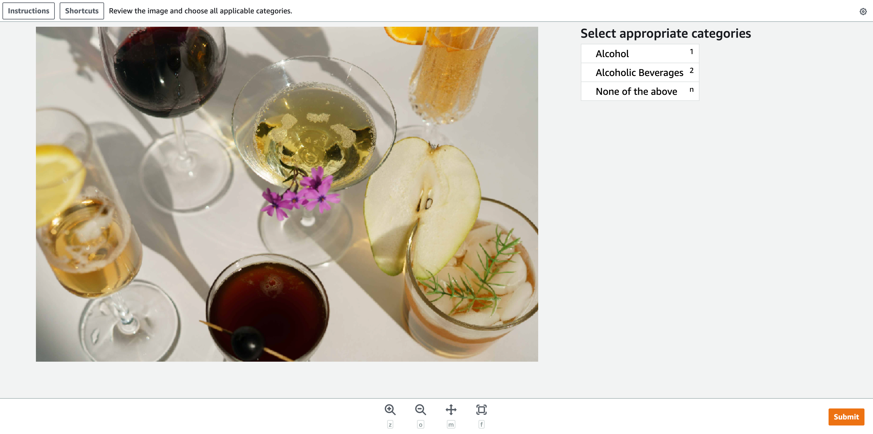 Beispielbild in der A2I-Rekognition-Worker-Konsole.