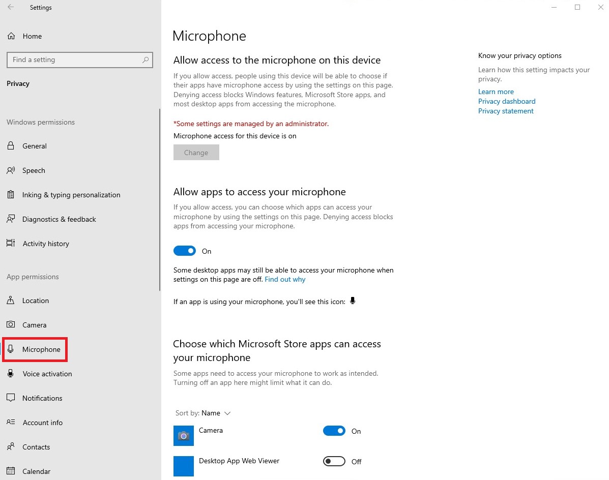 Windows Settings page for microphone access, showing device and app permissions.