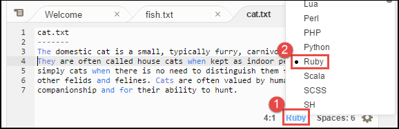 Cambiar la preferencia de tipo de archivo en la barra AWS Cloud9 de estado del IDE
