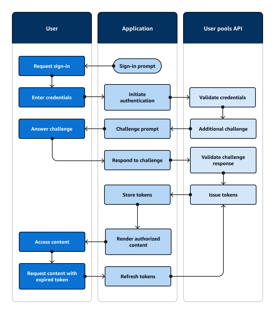 Diagrama de flujo que muestra una aplicación que solicita a un usuario que introduzca datos e inicia sesión con un SDK. AWS