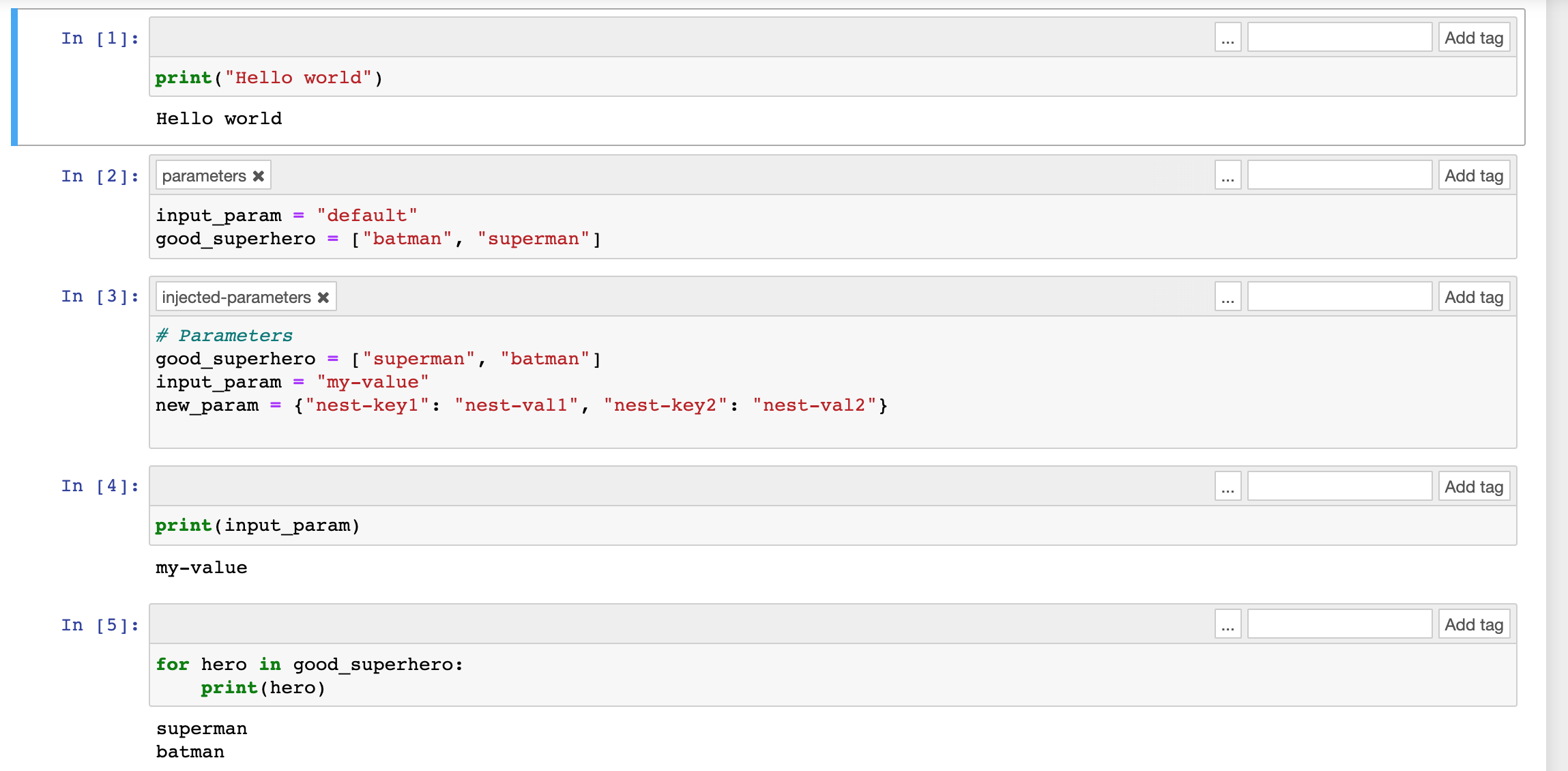 Jupyter notebook cells showing Python code and output for parameter injection and manipulation.