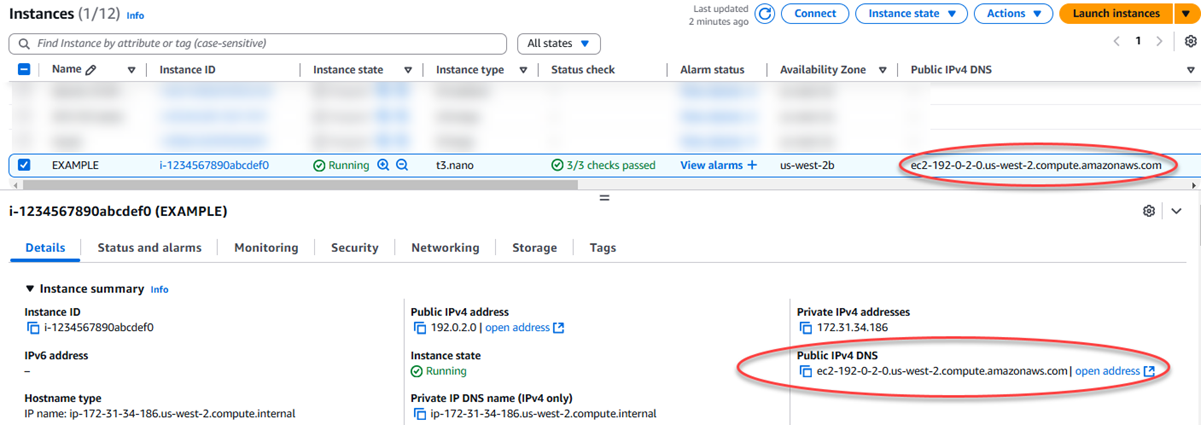 DNS público de una instancia en la consola de Amazon EC2.