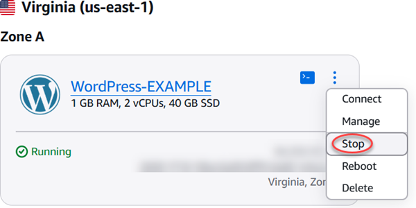 Detener la instancia desde el menú de administración de instancia