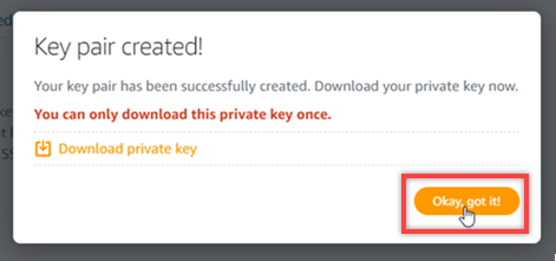 Mensaje You can only download private key once (Solo puede descargar la clave privada una vez)