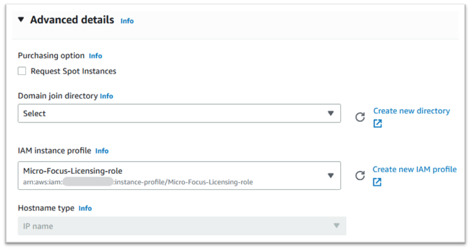 Detalles avanzados con perfil de instancia de IAM