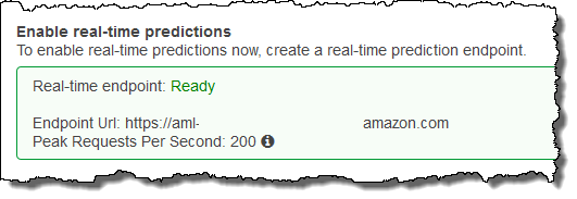 Real-time endpoint status showing Ready with an endpoint URL and Peak Requests Per Second value.
