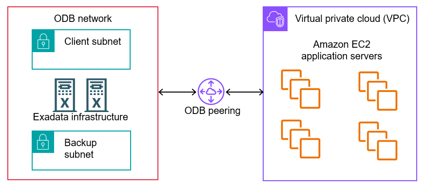 Muestra una red ODB emparejada con una VPC con puntos de conexión y rutas de tráfico de red.