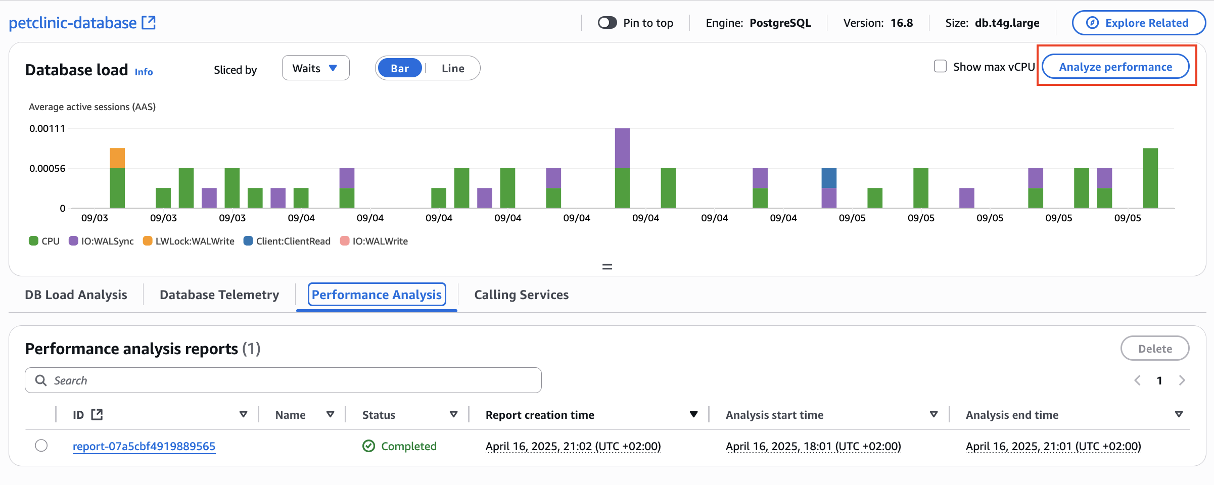 Onglet Analyse des performances
