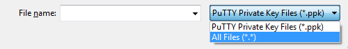 Type de fichier Putty Key