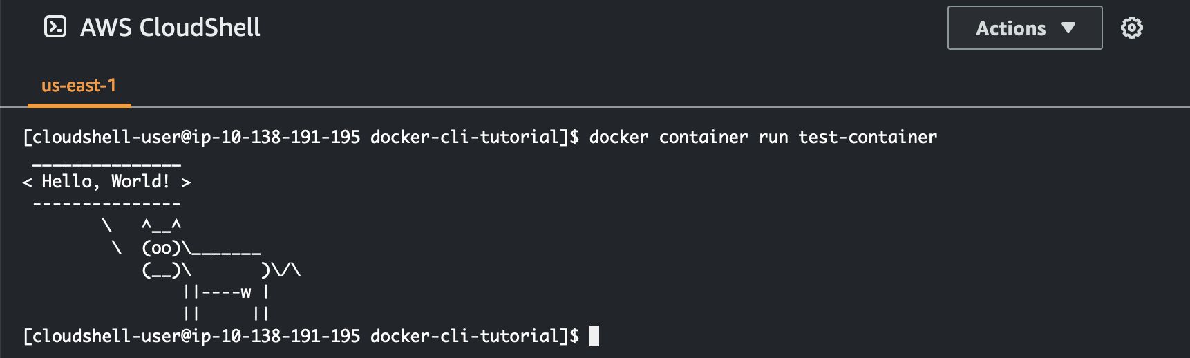 Image de la commande Docker Container Run à l'intérieur AWS CloudShell