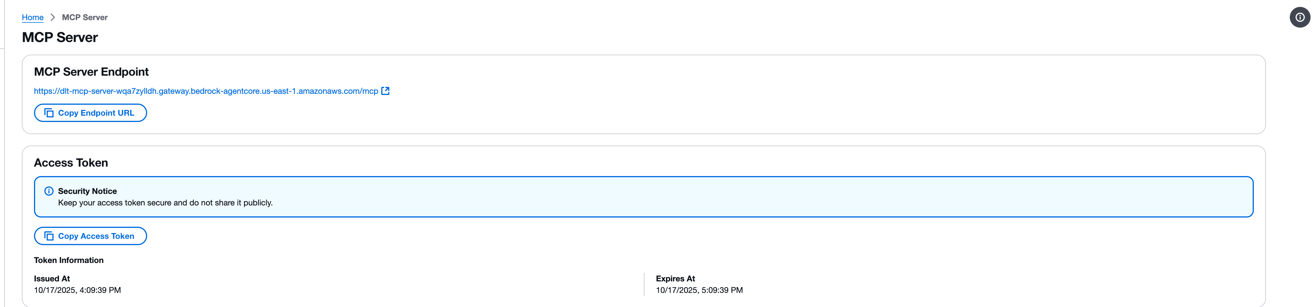 Page d'informations d'identification du serveur MCP indiquant le point de terminaison et le jeton d'accès
