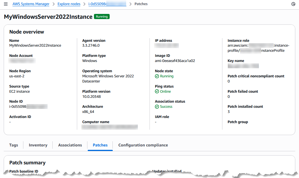Détails de la vue d’ensemble des nœuds dans la section Explorer les nœuds