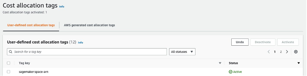 Schéma illustrant un espace ARN activé en tant que balises de répartition des coûts dans Cost Explorer.