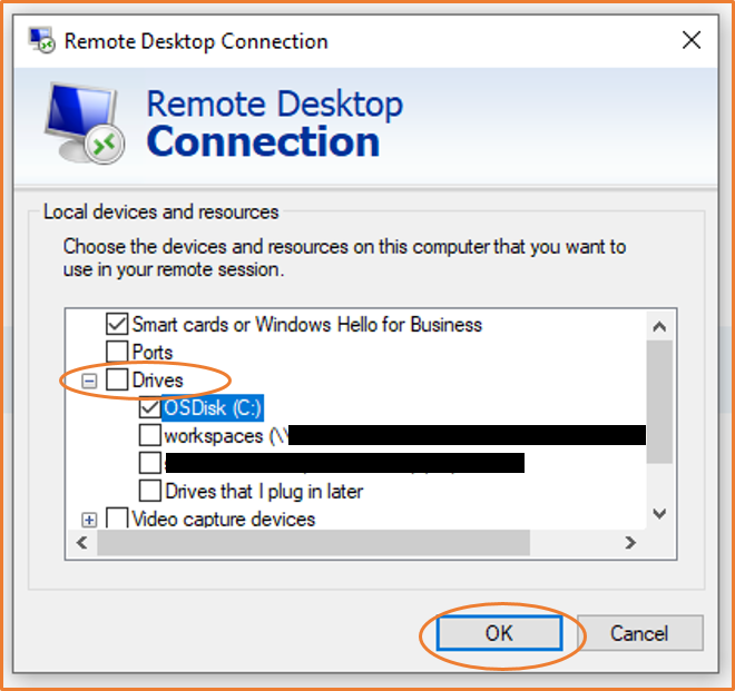 RDP Perangkat lokal dan jendela sumber daya.