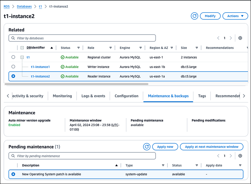 Patch sistem operasi instance pembaca.
