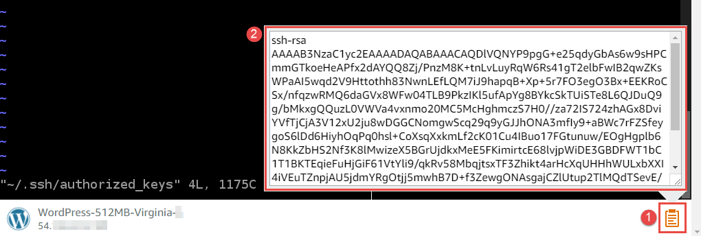Membuka clipboard sesi terminal Lightsail