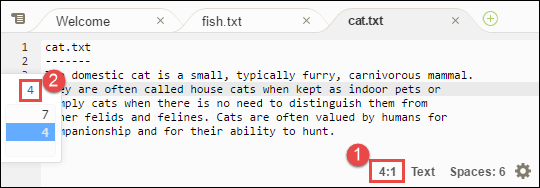 Pergi ke nomor baris tertentu menggunakan bilah status AWS Cloud9 IDE