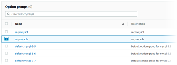 Console option group
