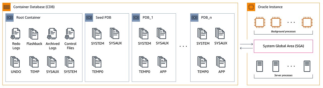 Multitenant container Oracle database