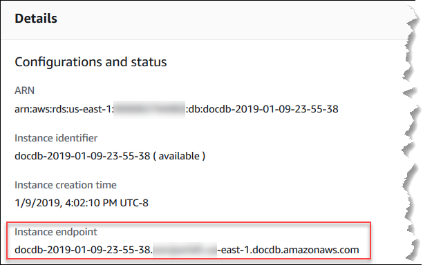 Console screenshot showing the details page with the instance endpoint highlighted.