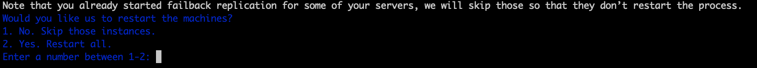 Console prompt asking whether to restart machines, with options to skip or restart all instances.