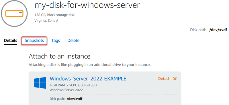 Choose the Snapshots tab from the disk management page