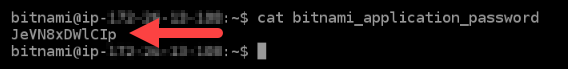 Default application password for Bitnami instances