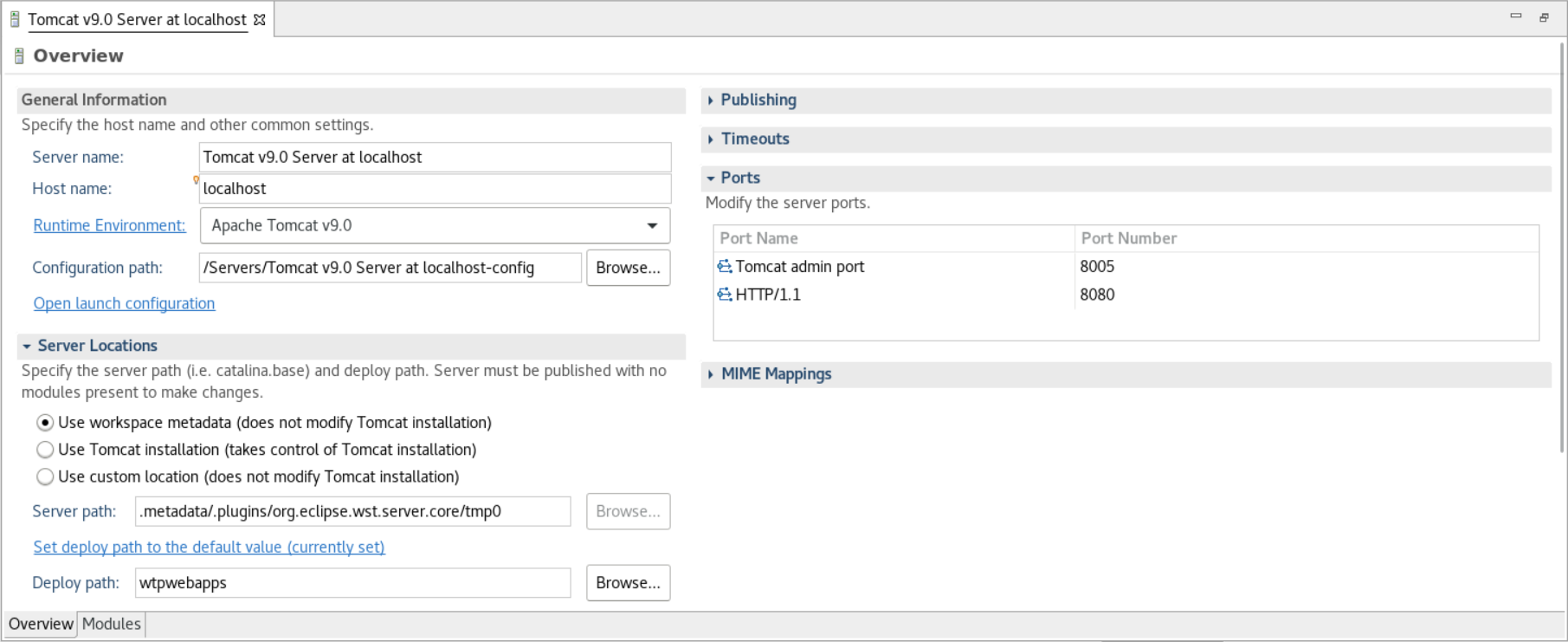 The server properties editor. The Overview tab is selected.