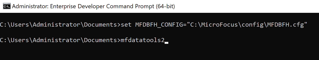 Enterprise Developer Command Prompt.