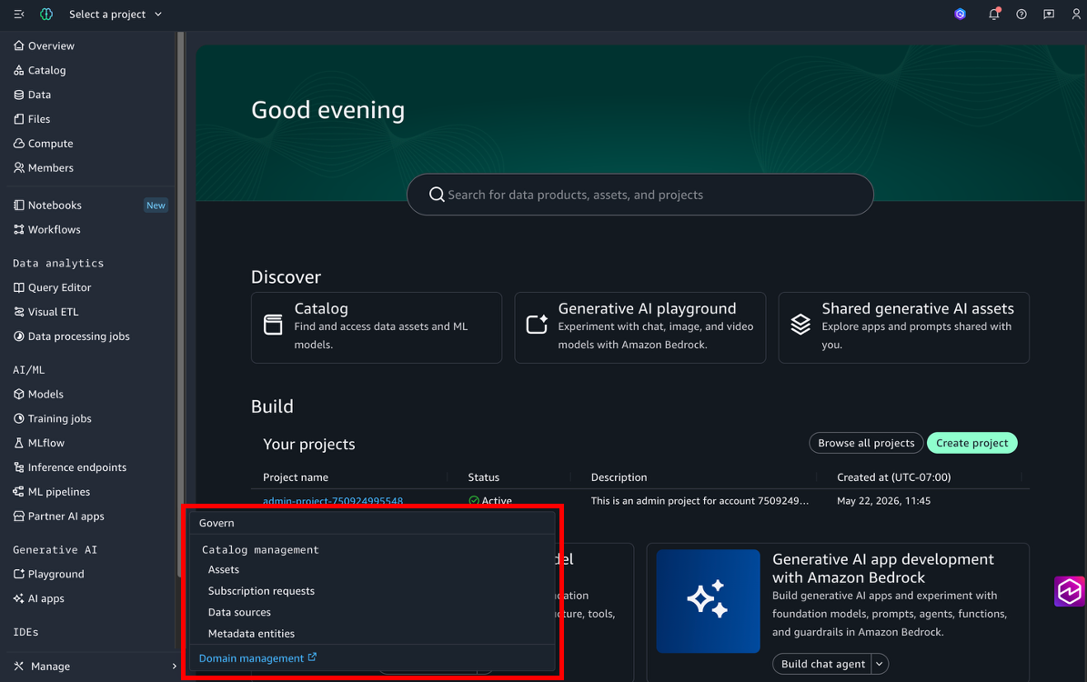 Domain management link in the Amazon SageMaker Unified Studio portal left navigation