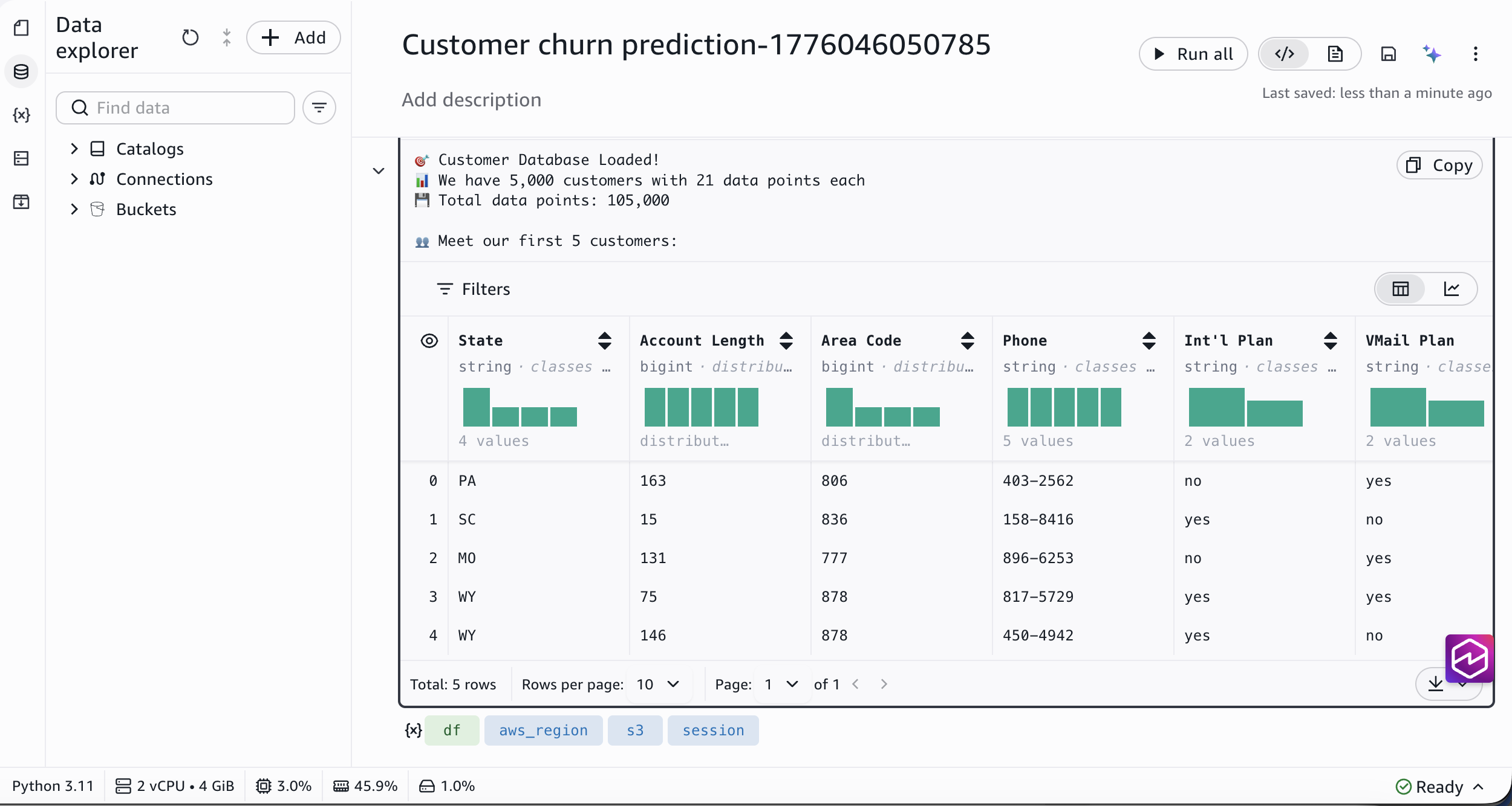 The notebook output showing the loaded dataset with customer records and a preview of the first rows.