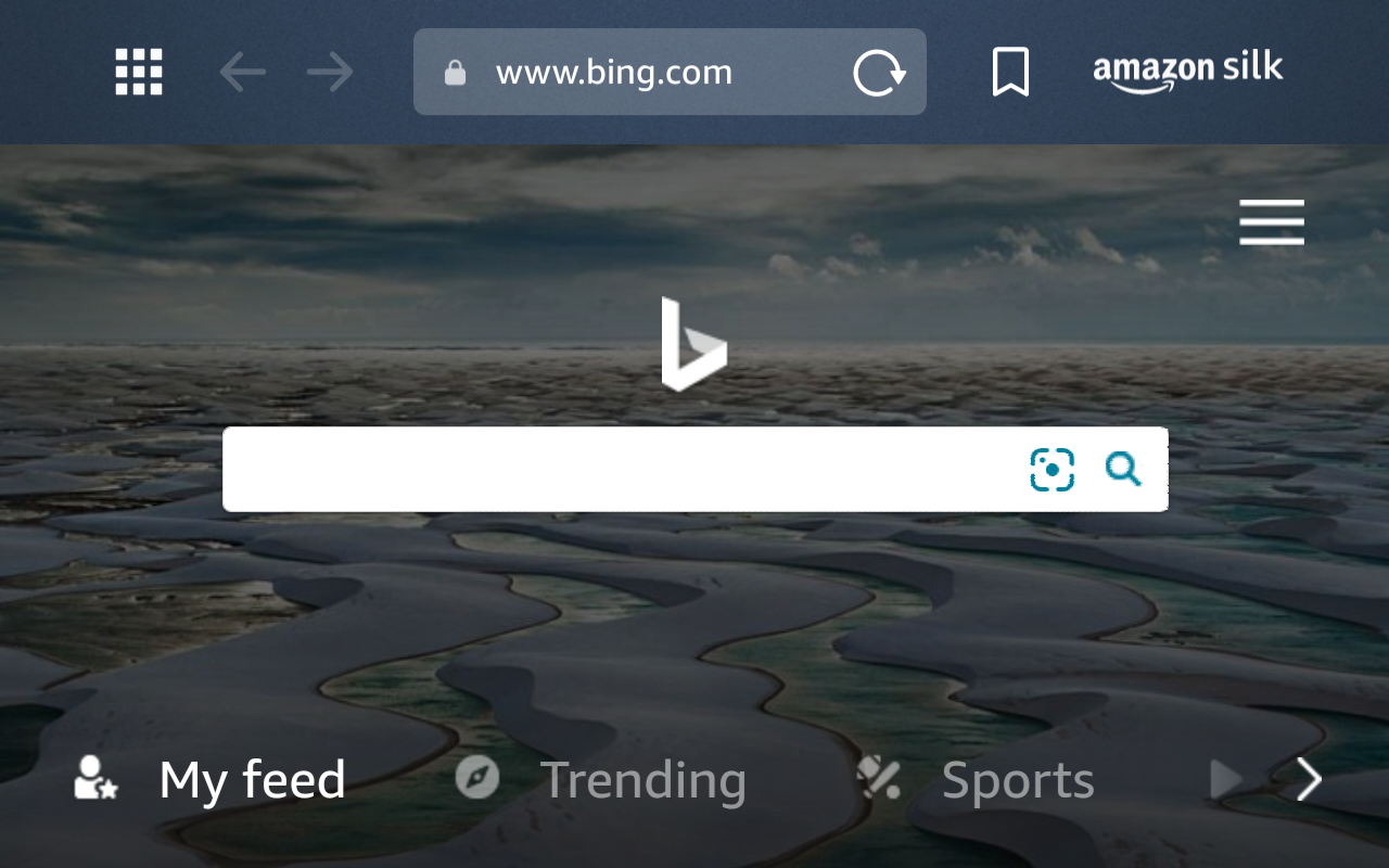 Image to display browser