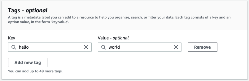 Screen shot showing the tags panel with one tag defined.