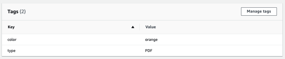 Screen shot showing the Tags panel with two tags (color and type).