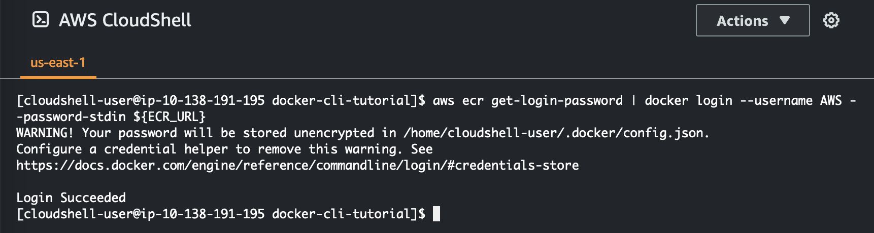 Immagine del comando usato per ottenere le credenziali di accesso Amazon ECR per Docker.