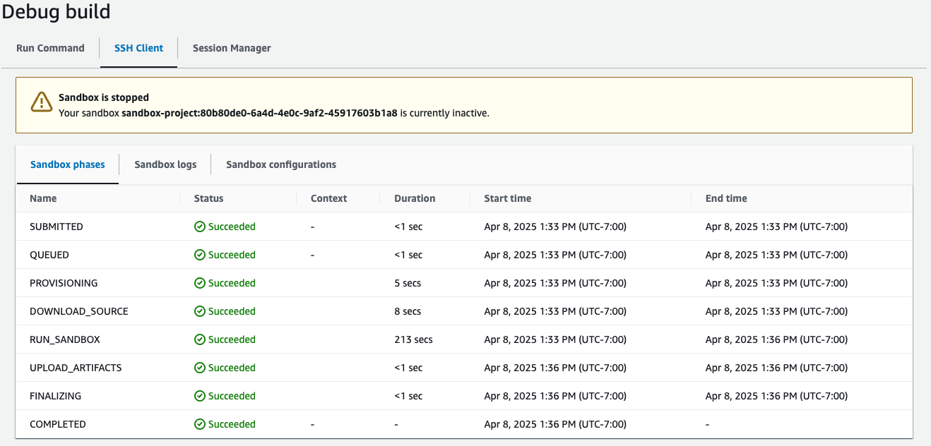 La pagina di output del comando di esecuzione con una sandbox interrotta nella console.