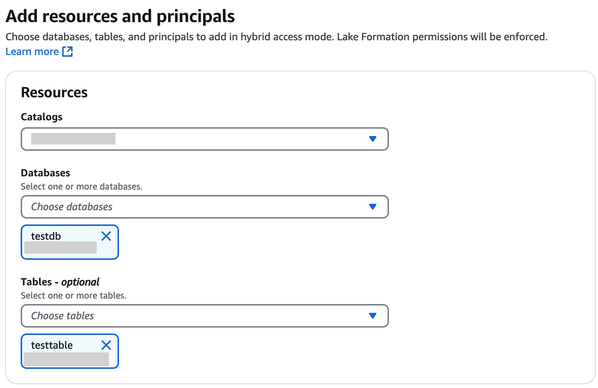 L'interfaccia per aggiungere cataloghi, database e tabelle in modalità di accesso ibrido.