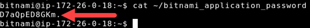 Password dell'applicazione predefinita Bitnami.